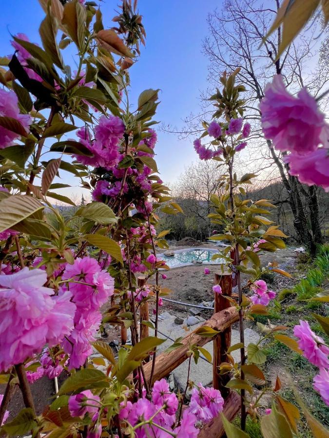 Вілла Agriturismo I Prati Di Venere Sesta Godano Екстер'єр фото